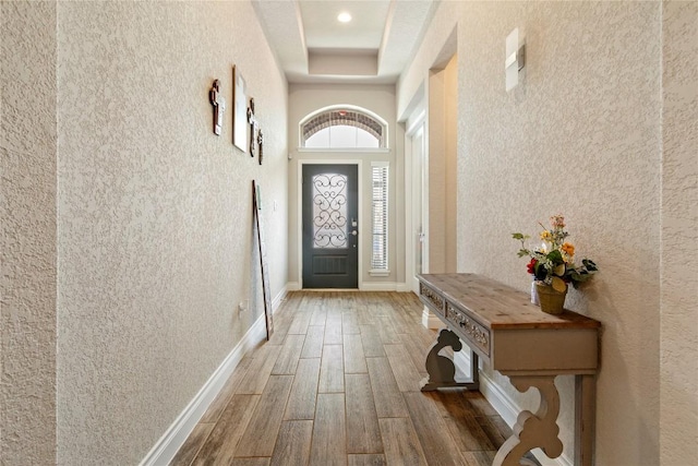 3105 High Meadow St, Seguin, TX 78155 - entrance foyer with wood finished floors, a raised ceiling, baseboards, and a textured wall