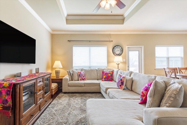 living area with crown molding, a tray ceiling, and ceiling fan