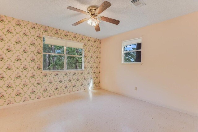 919 Stephen Ln, La Grange, TX 78945 - photo 15