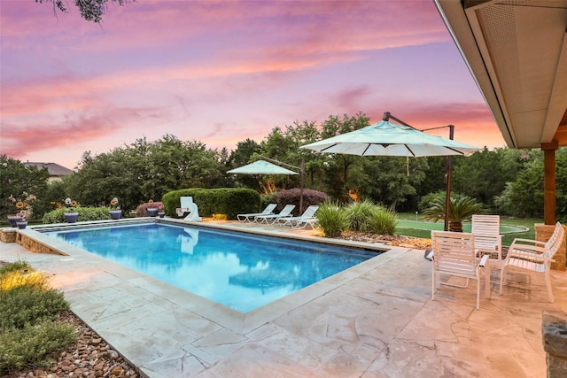 pool with a patio area