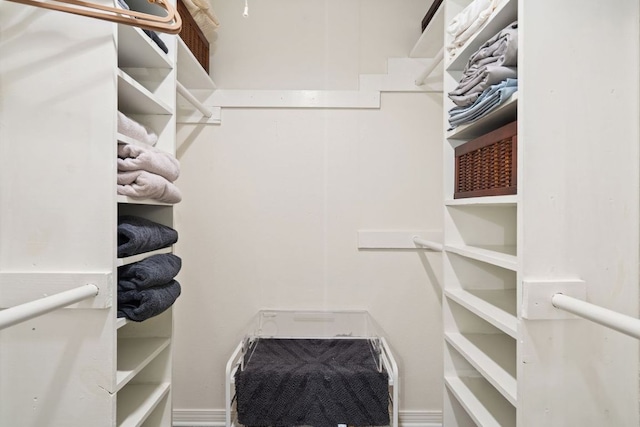 view of walk in closet