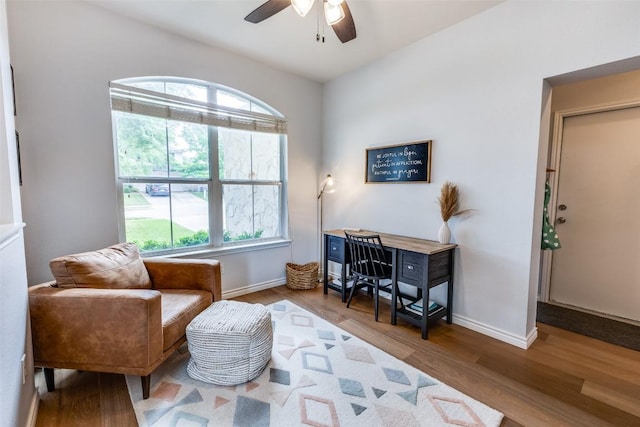 living area featuring a ceiling fan, wood finished floors, and a wealth of natural light