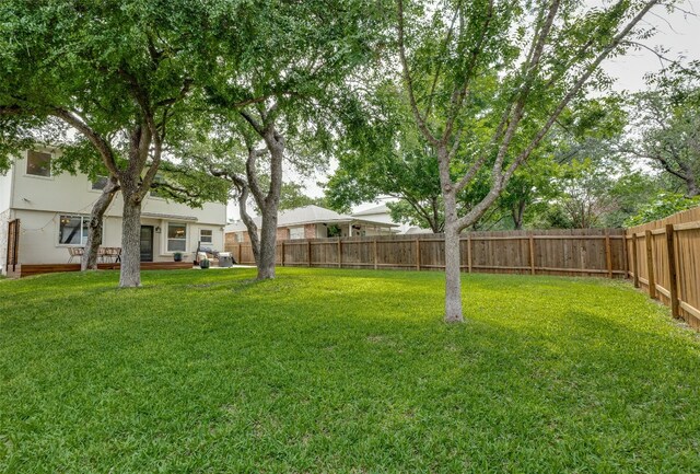 1161 Stone Forest Trl, Round Rock, TX 78681 - view of yard
