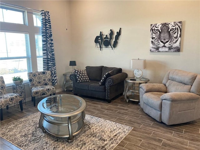 117 Bolivar Way Unit 101, San Marcos, TX 78666 - living room featuring wood finish floors and plenty of natural light