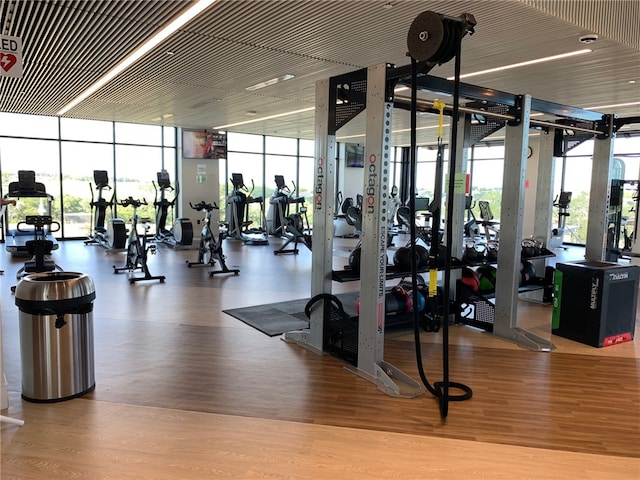 gym featuring plenty of natural light, expansive windows, and wood finished floors