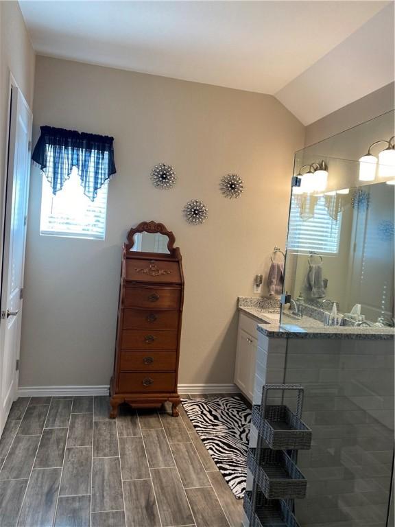 117 Bolivar Way Unit 101, San Marcos, TX 78666 - full bathroom featuring vanity, wood tiled floors, and lofted ceiling