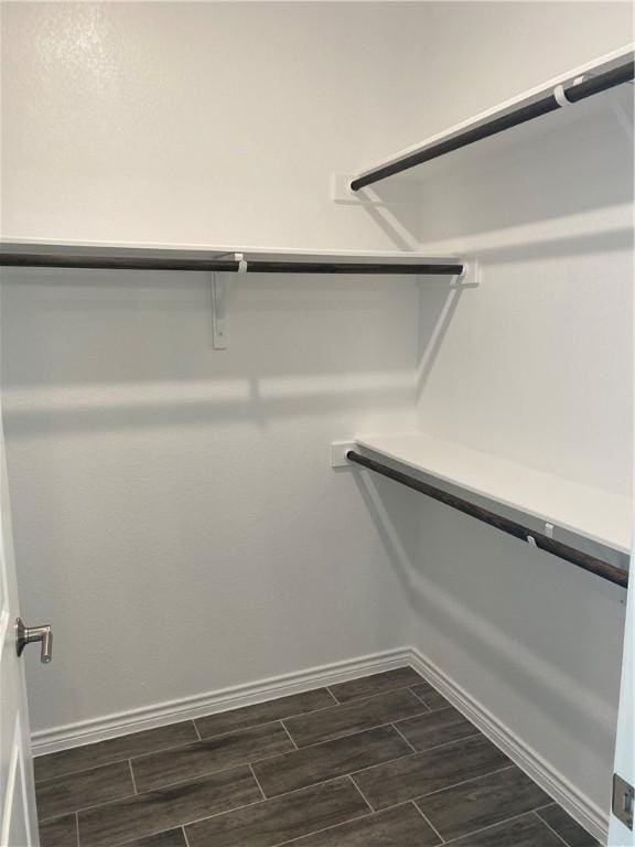117 Bolivar Way Unit 101, San Marcos, TX 78666 - walk in closet with wood finish floors