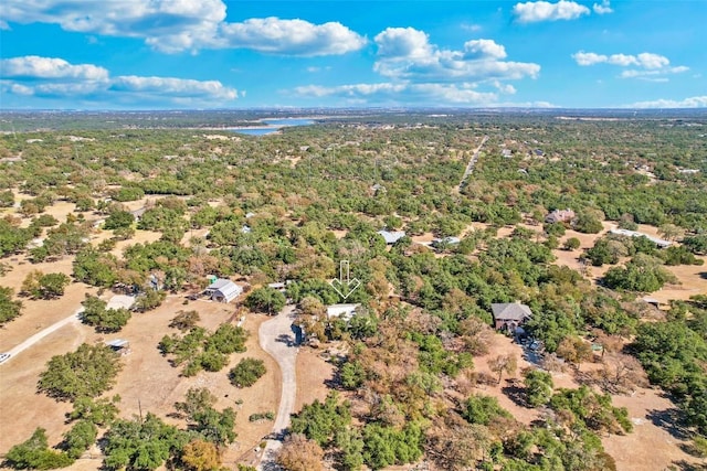 2858 Cedar Hollow Rd, Georgetown, TX 78628 - aerial view of a heavily wooded area