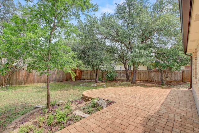 view of yard featuring a fenced backyard and a patio area