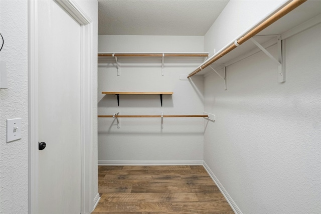 15205 Bullace St, Austin, TX 78724 - spacious closet with wood finished floors