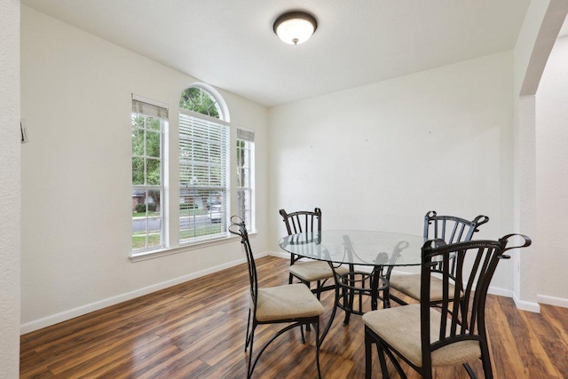 dining room featuring baseboards, a healthy amount of sunlight, and wood finished floors