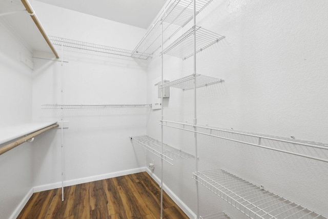 spacious closet featuring wood finished floors