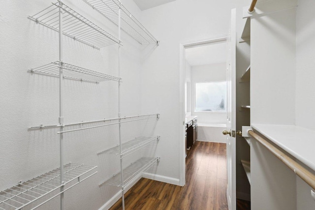 8117 Manx Dr, Round Rock, TX 78681 - walk in closet featuring dark wood-style flooring