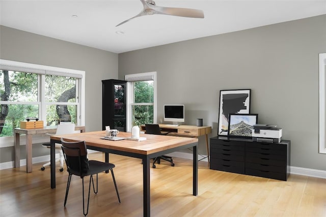 office with light wood-style floors, baseboards, ceiling fan, and a wealth of natural light