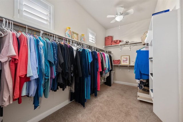 228 Cimarron Hills Trl E, Georgetown, TX 78628 - spacious closet with carpet floors and a ceiling fan