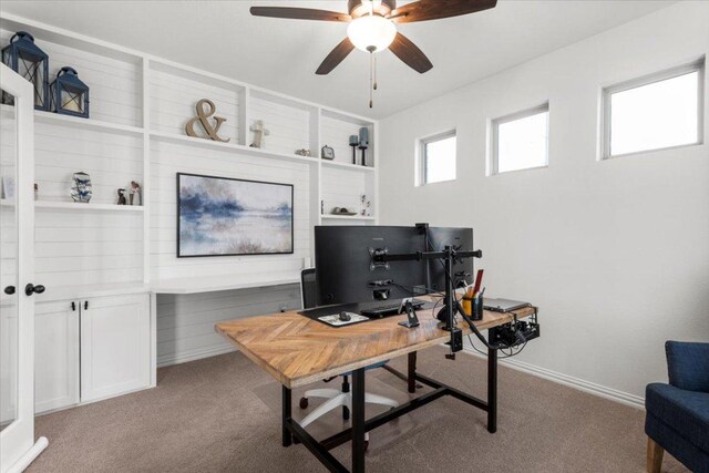 6401 Golden Bough Ln, Pflugerville, TX 78660 - office space with carpet flooring, a ceiling fan, and built in features