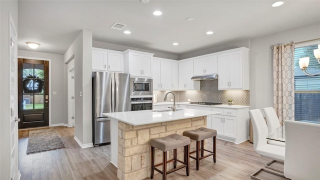 kitchen with under cabinet range hood, a sink, light wood finished floors, appliances with stainless steel finishes, and backsplash