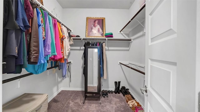 1621 Winding Stream Trl, Leander, TX 78641 - spacious closet featuring carpet
