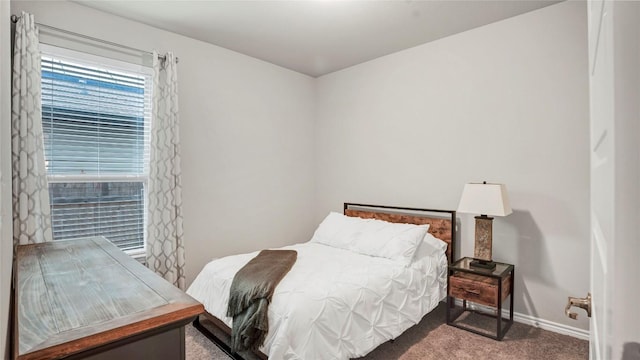 1621 Winding Stream Trl, Leander, TX 78641 - carpeted bedroom featuring baseboards
