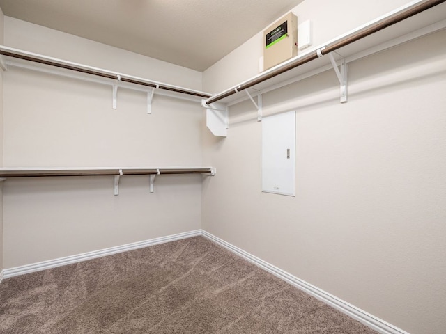 walk in closet with carpet