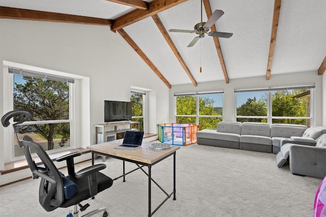 9800 Knotty Pine Cv, Austin, TX 78750 - interior space featuring plenty of natural light, high vaulted ceiling, ceiling fan, and beamed ceiling