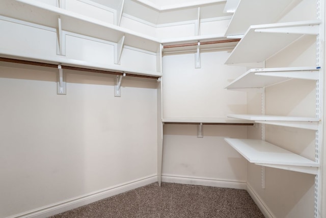 5310 Scenic View Dr, Austin, TX 78746 - spacious closet featuring carpet flooring