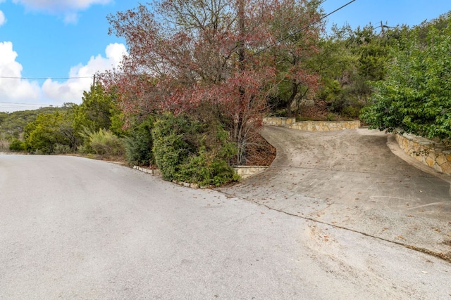5310 Scenic View Dr, Austin, TX 78746 - view of road