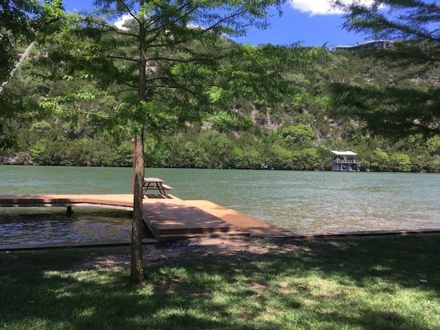 dock area with a water view and a view of trees
