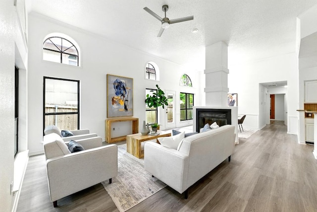 7419 Dallas Dr, Austin, TX 78729 - living room with ceiling fan, a glass covered fireplace, wood finished floors, plenty of natural light, and a high ceiling