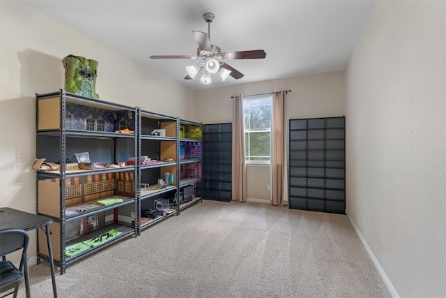 storage featuring ceiling fan