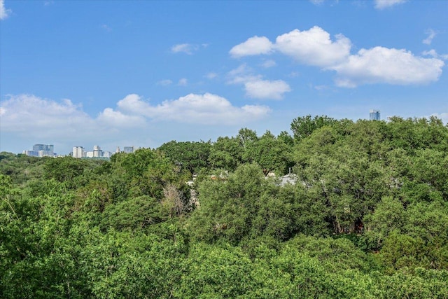 view of local wilderness with a view of trees and a city view