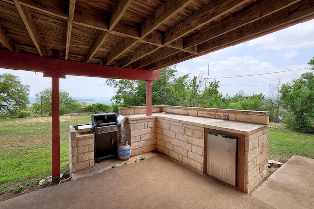view of patio / terrace with grilling area and area for grilling