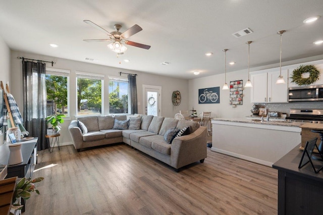 505 Pearly Eye Dr Unit B, Pflugerville, TX 78660 - living area with visible vents, ceiling fan, and wood finished floors