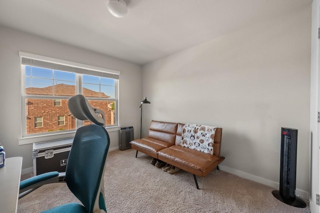 505 Pearly Eye Dr Unit B, Pflugerville, TX 78660 - carpeted office space with baseboards