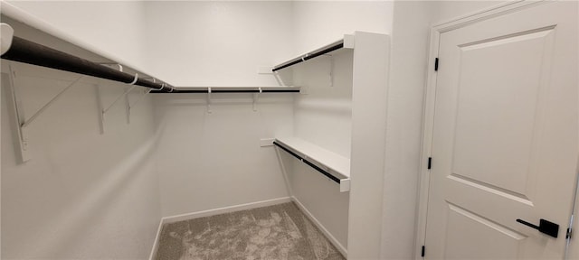 118 Freeman Day Dr, Bastrop, TX 78602 - spacious closet with light carpet