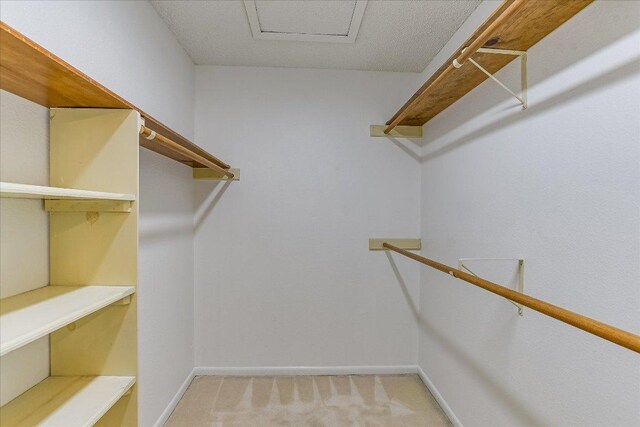 8518 Fathom Cir Unit 107, Austin, TX 78750 - spacious closet with light carpet and attic access