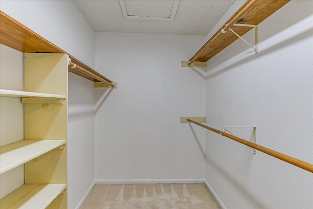 8518 Fathom Cir Unit 107, Austin, TX 78750 - spacious closet featuring light colored carpet and attic access