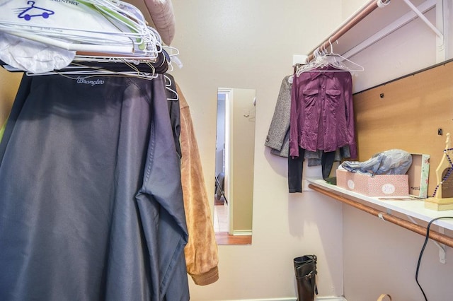 view of spacious closet