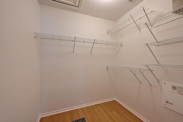 walk in closet featuring light wood-style flooring