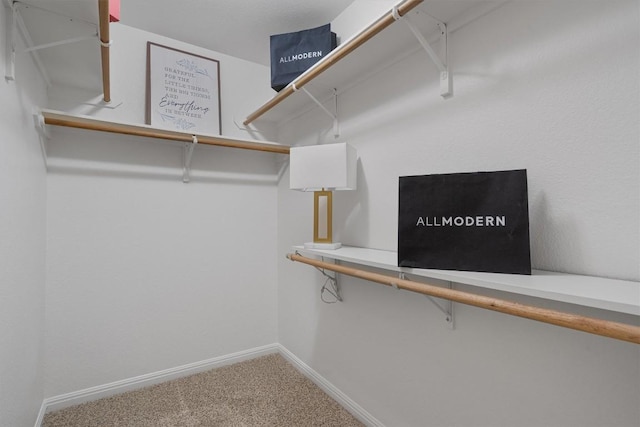walk in closet featuring carpet flooring