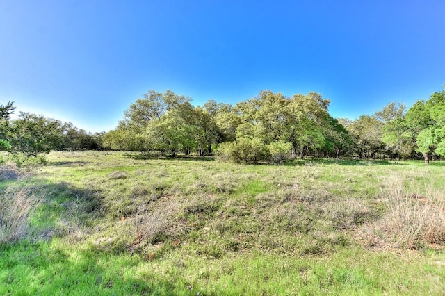 view of nature featuring a rural view