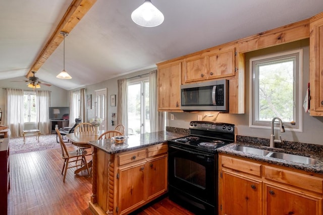 kitchen with a sink, plenty of natural light, a peninsula, stainless steel microwave, and black range with electric stovetop