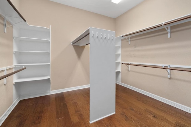 walk in closet featuring wood finished floors