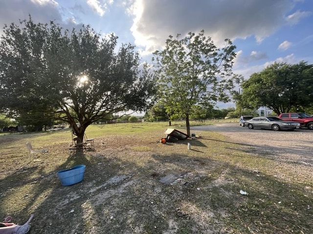 9507 Capitol View Dr, Austin, TX 78747 - view of yard