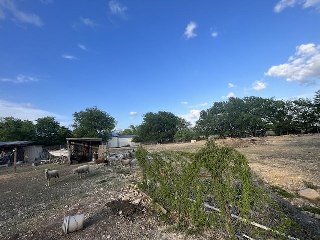9507 Capitol View Dr, Austin, TX 78747 - view of yard