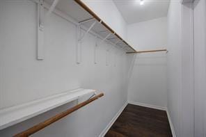 walk in closet featuring dark wood-style flooring