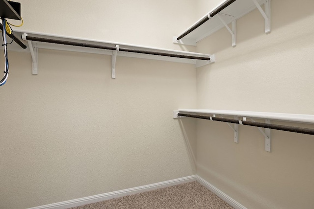 spacious closet featuring carpet