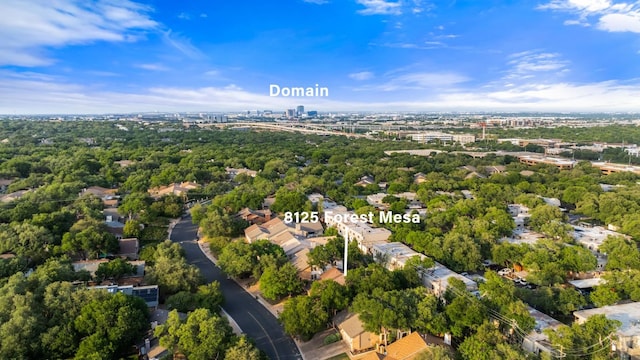 bird's eye view