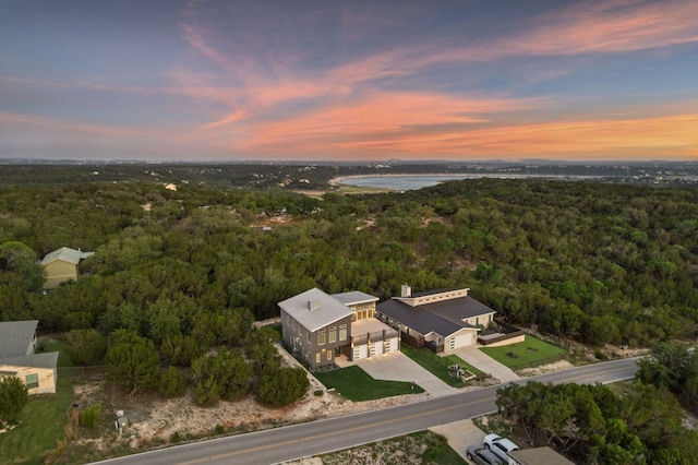 3503 Constitution Dr, Lago Vista, TX 78645 - aerial view at dusk of a view of trees
