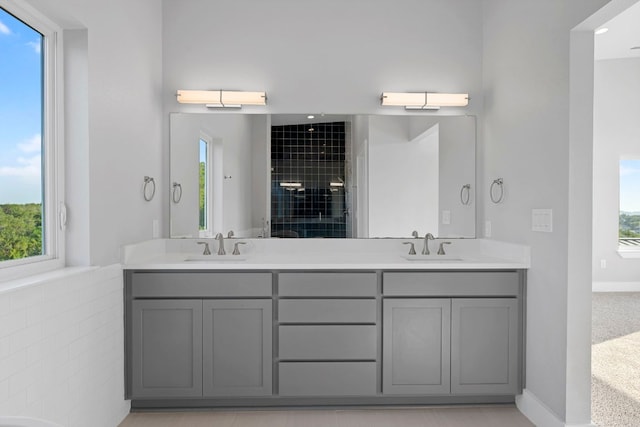 3503 Constitution Dr, Lago Vista, TX 78645 - bathroom featuring double vanity, plenty of natural light, and tiled shower